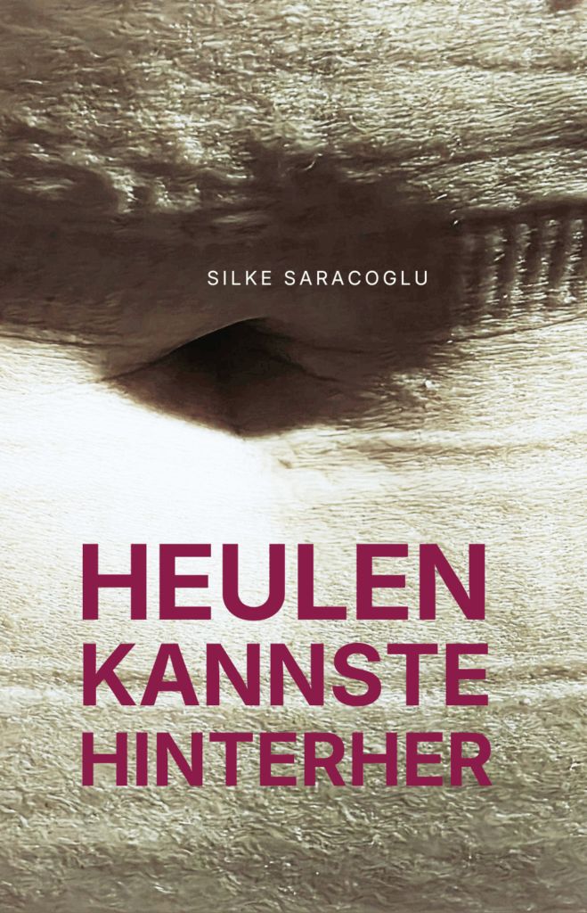 Buchcover HEULEN KANNSTE HINTERHER von Silke Saracoglu